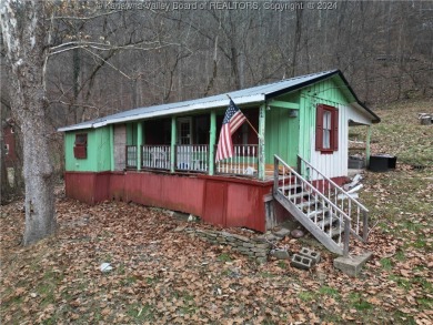 Lake Home For Sale in Procious, West Virginia