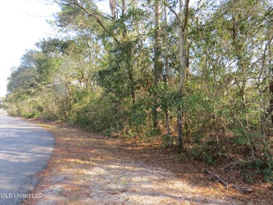 THESE PRIME 27 ACRES ARE ZONED FOR A RESIDENTIAL PUD. MOST OF - photo 11