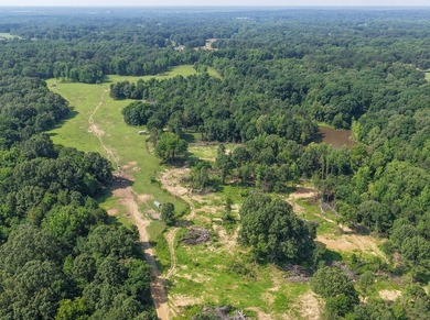 Located just around the corner from Gray's Creek Subdivision and - photo 11
