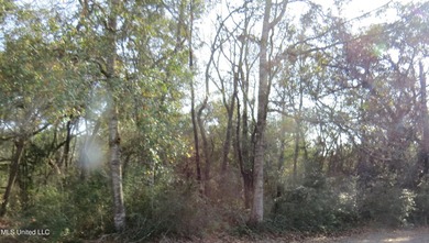 THESE PRIME 27 ACRES ARE ZONED FOR A RESIDENTIAL PUD. MOST OF - photo 12