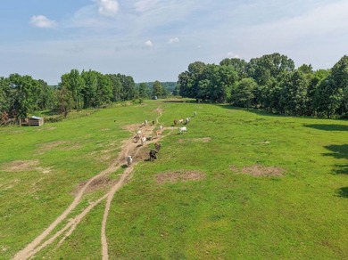 Located just around the corner from Gray's Creek Subdivision and - photo 26
