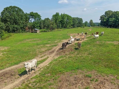 Located just around the corner from Gray's Creek Subdivision and - photo 27