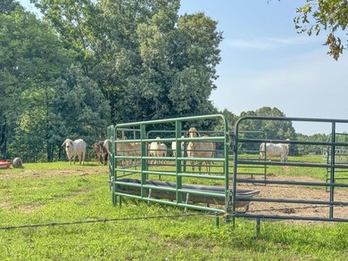 Located just around the corner from Gray's Creek Subdivision and - photo 34