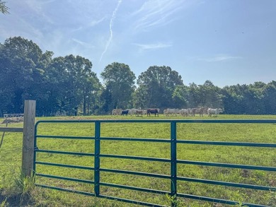 Located just around the corner from Gray's Creek Subdivision and - photo 38