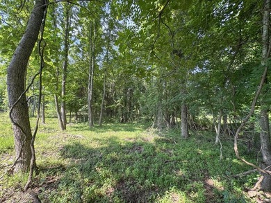 Located just around the corner from Gray's Creek Subdivision and - photo 46