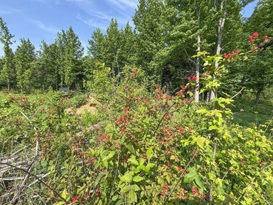 Located just around the corner from Gray's Creek Subdivision and - photo 47