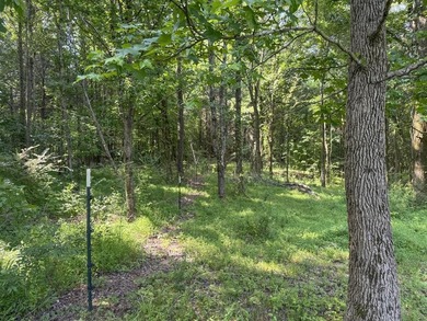 Located just around the corner from Gray's Creek Subdivision and - photo 48
