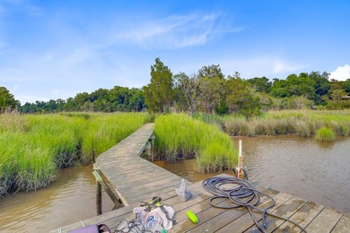 INVESTOR OPPORTUNITY!! Prime Ashley Riverfront Property that - photo 49