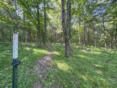Located just around the corner from Gray's Creek Subdivision and - photo 49