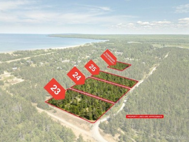 Lake Superior - Alger County Acreage For Sale in Au Train Michigan