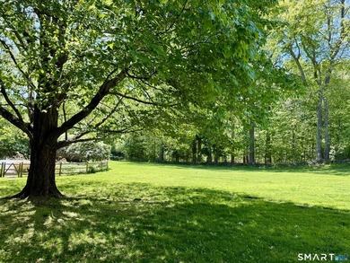 Come walk this stunning 1.5 acre lot with me - totally private - photo 1