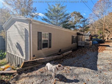 Lake Home For Sale in Clay, West Virginia