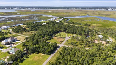 Beautiful waterfront lot with deep water access located just - photo 11