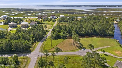 Beautiful waterfront lot with deep water access located just - photo 16