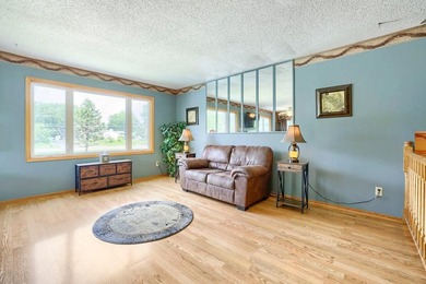 Welcome home to this beautifully maintained split-entry nestled - photo 18