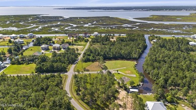 Beautiful waterfront lot with deep water access located just - photo 19