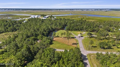 Beautiful waterfront lot with deep water access located just - photo 22