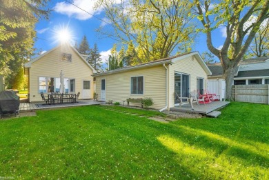 Lake Home For Sale in Palms, Michigan