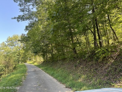 Norris Lake Acreage For Sale in Lafollette Tennessee