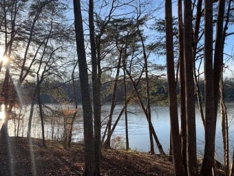 Wonderful 'retirement' Lot on the main channel  - Lake Lot For Sale in Gretna, Virginia