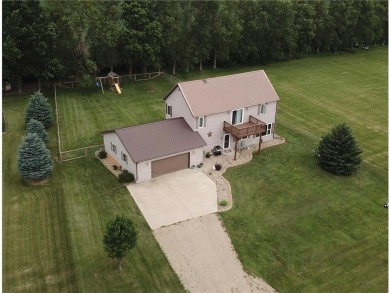 Lake Home For Sale in Avoca, Minnesota