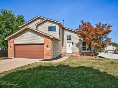 Lake Home For Sale in Plainfield, Illinois