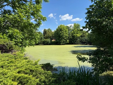 Unique Hexagon-Shaped Home on Approximately 5-6 Acres! This - photo 37