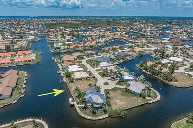 SAIL ACCESS, WATERFRONT LOT IN PGI W/110FT OF SEAWALL & SUNSET - photo 11