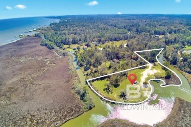 (private lake, pond, coastal) Acreage For Sale in Theodore Alabama