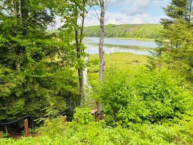 Million Dollar view for under a Million! If you're looking for - photo 49