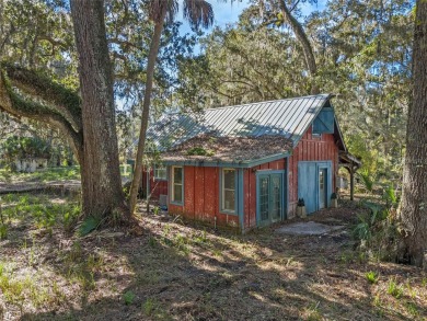 (private lake, pond, creek) Home For Sale in Astatula Florida