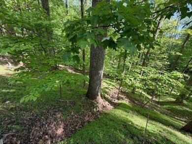 The property is ideally situated in rural southwestern Virginia - photo 1