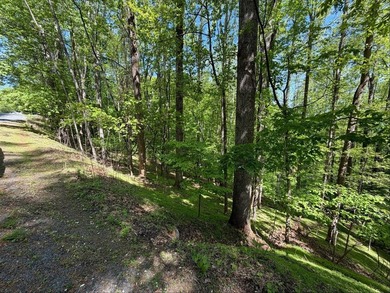 The property is ideally situated in rural southwestern Virginia - photo 2