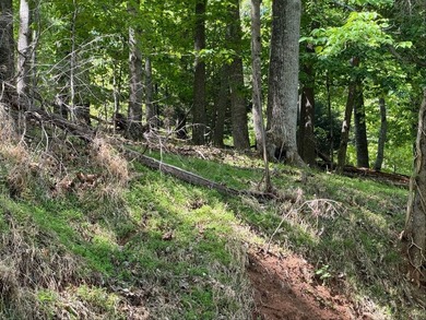 The property is ideally situated in rural southwestern Virginia - photo 4
