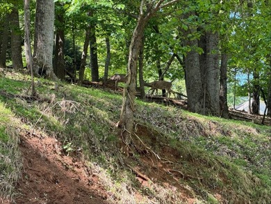 The property is ideally situated in rural southwestern Virginia - photo 5