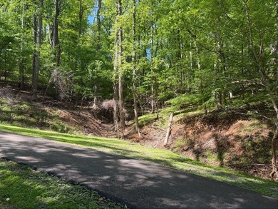 The property is ideally situated in rural southwestern Virginia - photo 7