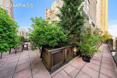A True Home in the Sky Central Park Views, Unparalleled Outdoor - photo 14
