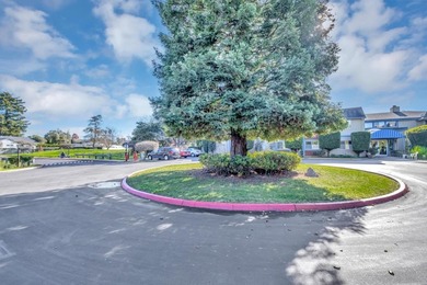 Are you a senior, looking for an affordable condo in a - photo 10