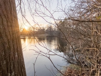 Nestled in the heart of a highly sought-after area in Hinds - photo 20