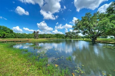 Lake Home Off Market in Cat Spring, Texas