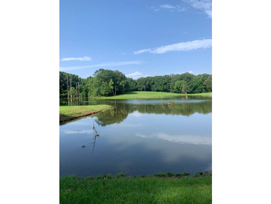 Nestled in the heart of a highly sought-after area in Hinds - photo 43