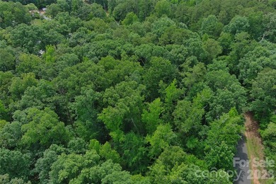 Build your dream home in the private, gated community of Woodrun - photo 3