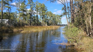 Pungo River - Beaufort County Lot For Sale in Belhaven North Carolina
