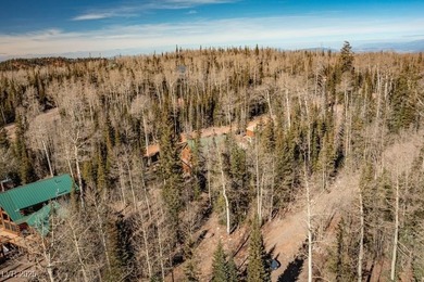 (private lake, pond, creek) Lot For Sale in Brian Head Utah