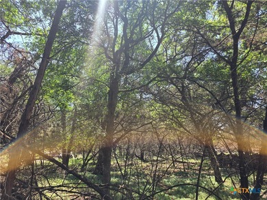 Canyon Lake Lot For Sale in Spring Branch Texas