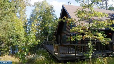Secluded Log Home Retreat, Lake Vermilion, Set On Apx 85 Acre - photo 17