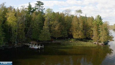 Secluded Log Home Retreat, Lake Vermilion, Set On Apx 85 Acre - photo 24