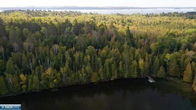 Secluded Log Home Retreat, Lake Vermilion, Set On Apx 85 Acre - photo 25