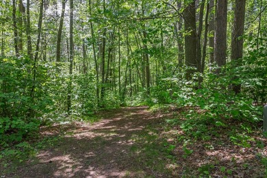 Welcome to this spacious Northwoods waterfront retreat on - photo 59