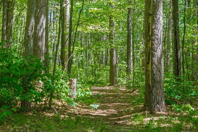 Welcome to this spacious Northwoods waterfront retreat on - photo 60